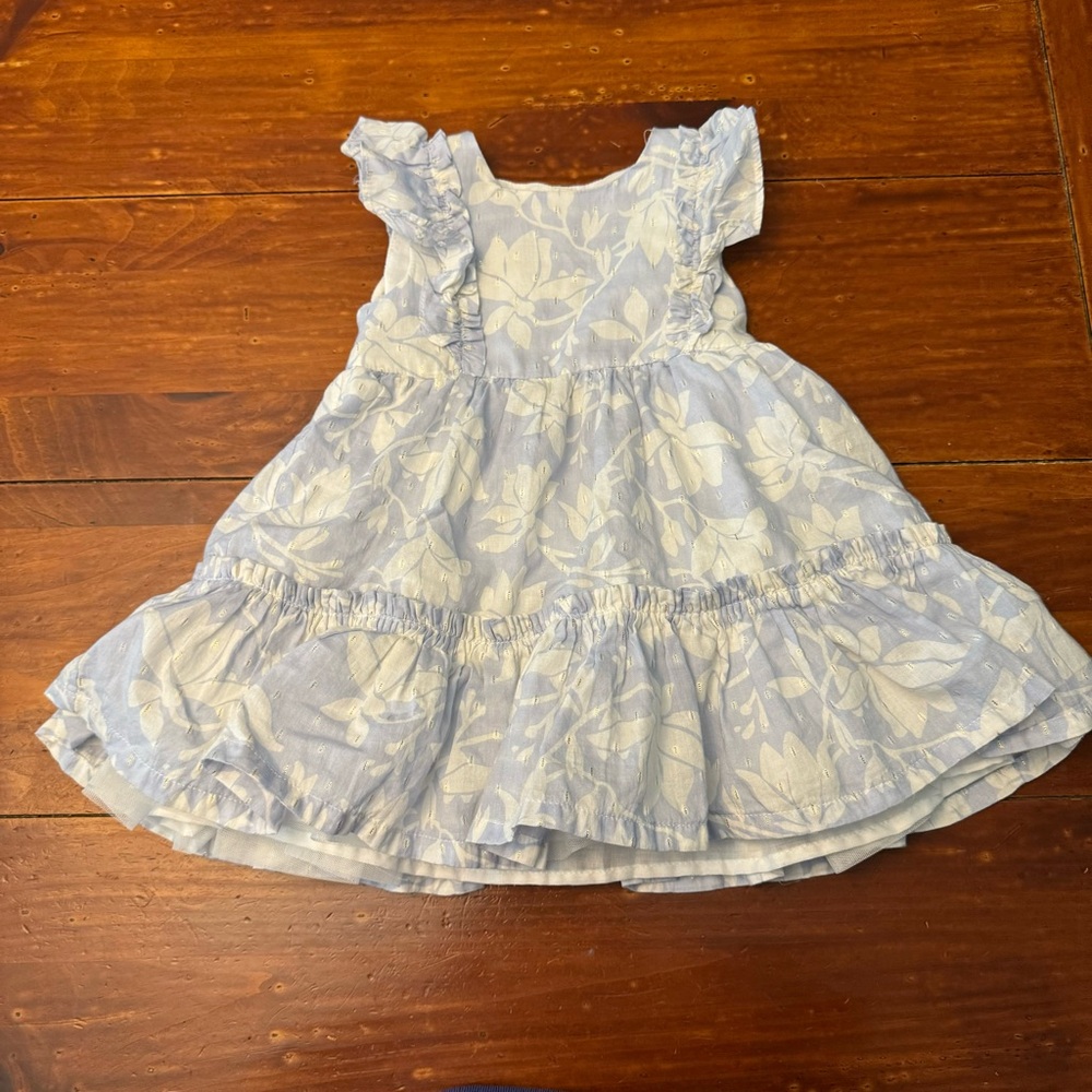 Jason Wu Baby Girl Size 24 Months Blue and White Floral Sun Dress Ruffle Sleeve